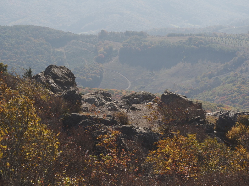 _M5080375-web.jpg