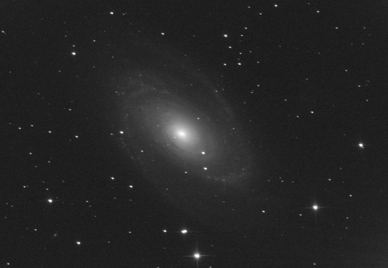 m81-web.jpg