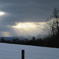 winter storm 2010 -2.jpg