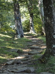 More Black Ridge Trail
