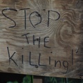 Stop the killing! 