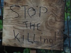 Stop the killing! 