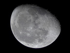 moon-light-IMG 8946-1